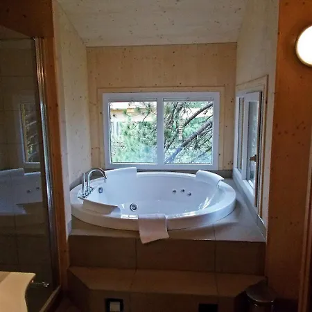 Holiday Chalet No-46 *